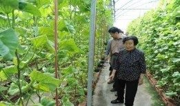 明星价格表 瓜瓜吃瓜ppt,揭秘明星价格表背后的秘密