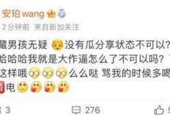 网红黑料爆料网,网络舆论背后的真相与反思